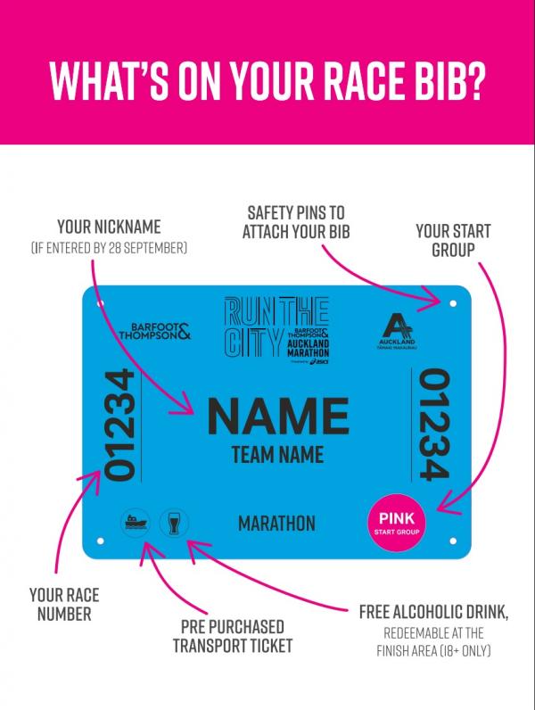 Bib Breakdown